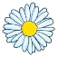 001-daisy