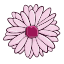 005-daisy-2