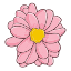 007-carnation-1